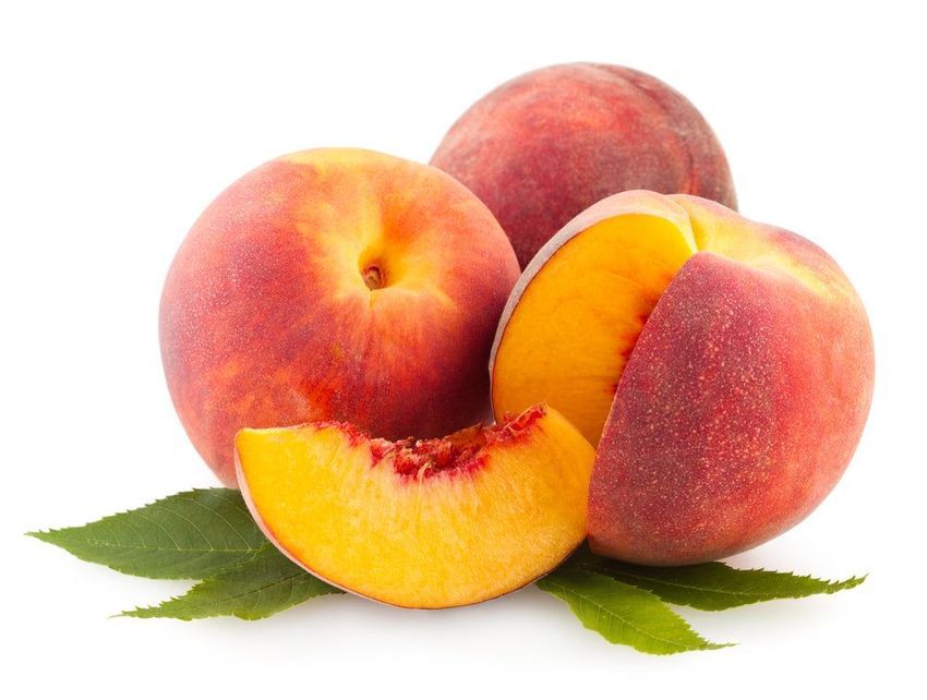 Frost Peach (Prunus persica) – 6 ft Tall -Semi-Dwarf